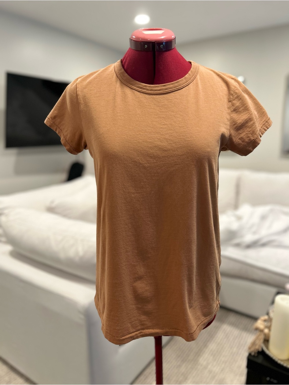 rag & bone Classic Short Sleeve Tee in rust colour